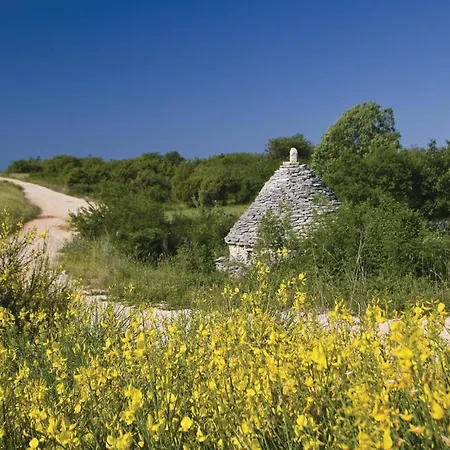 Gorgeous In With Kitchen Holiday home *